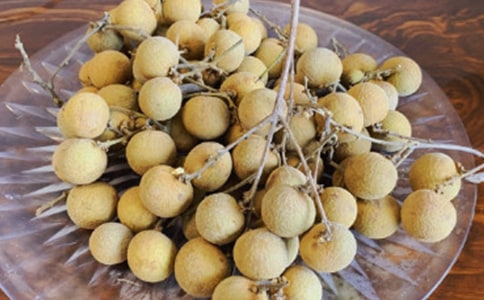 ժ��������(���9ƪ)