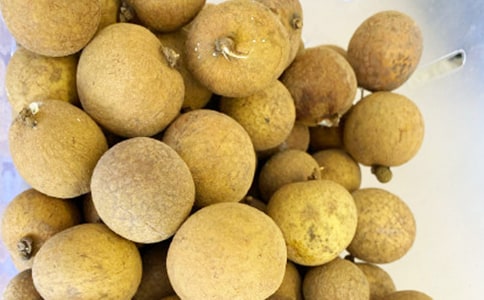 摘龙眼作文范文