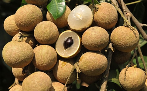 ������������ģ�����18ƪ��