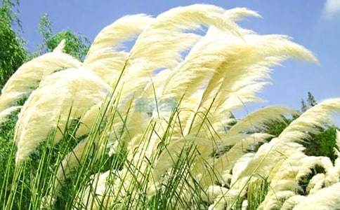 �������«έ����