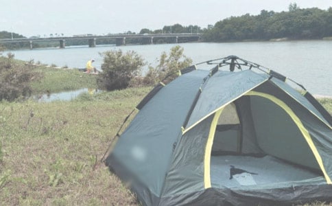 ¶Ӫ������