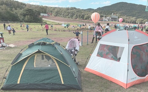 在森林中露营的作文