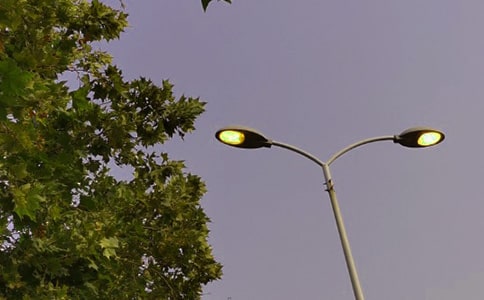 变形记路灯作文