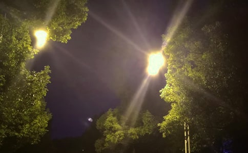 ·��������