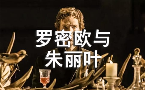 ����ŷ������Ҷ�����(11ƪ)