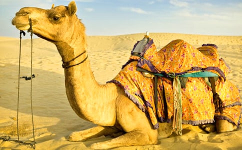 ���������ӡ�����бر���15ƪ��