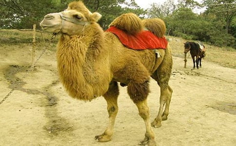 ���յ�����ͨ��6ƪ