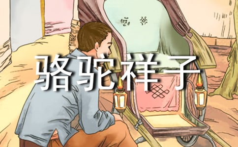 《骆驼祥子》读后感 读后感