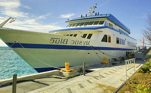 码头安全管理工作总结