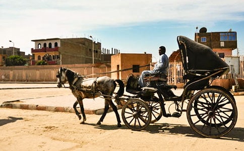 ���۹�����-���꼶-������