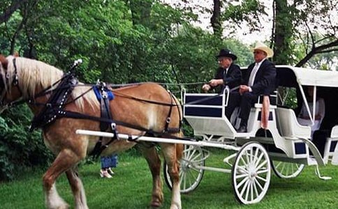 时间像小马车教学计划