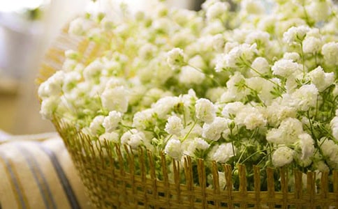 �ҵ�����������