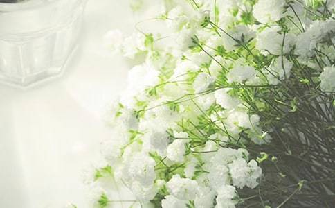 [����]����������