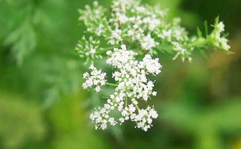 送你满天星光作文