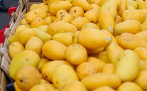 â�������ķ���15ƪ