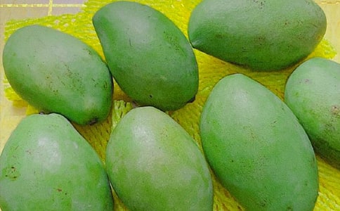 â�������ĺϼ���15ƪ��