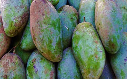 â��������[����15ƪ]