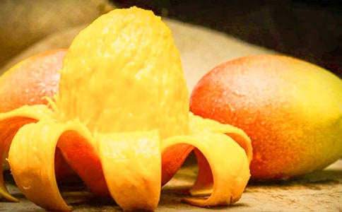 [����]â��������