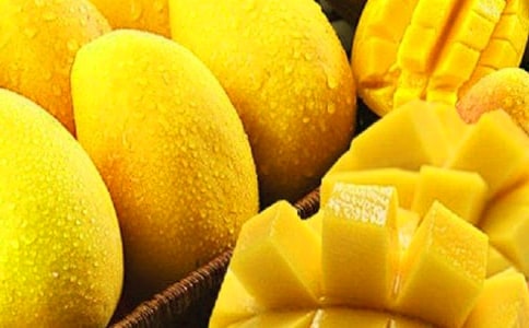 芒果的作文集合(15篇)