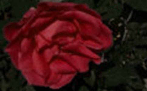 ��дõ�������