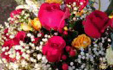 ������õ�������38ƪ