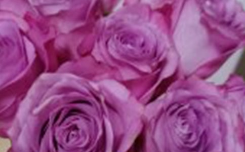 ҹݺ��õ������[ͨ��4ƪ]