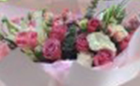 ������õ��ͯ������