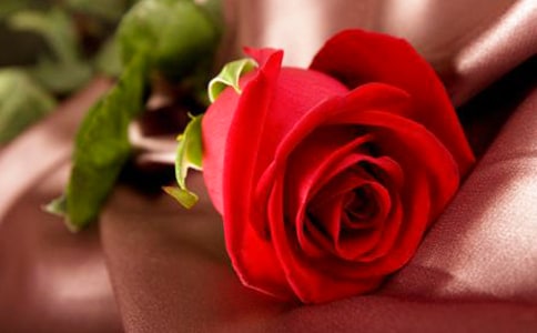 ֽ����õ�廨�Ķ���