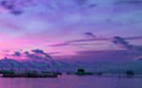 �˼����ð����������