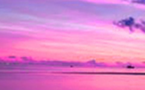 桃园的美景作文