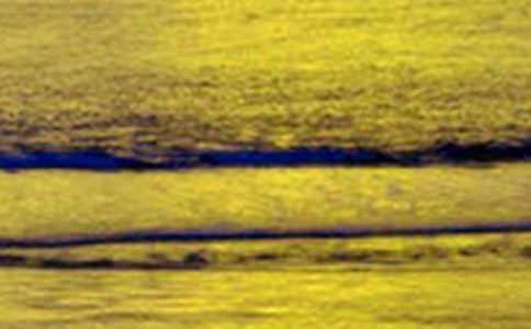 ���ܴ���Ȼ�����ľ���