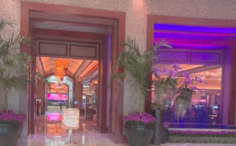 ����Ժ�����ܽ���ѡ15ƪ