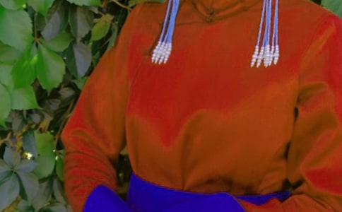 蒙古族牧民过“本命年”作文