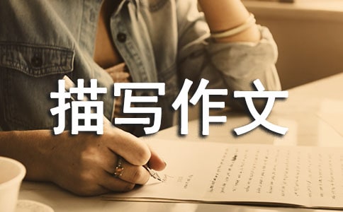 课间活动描写作文