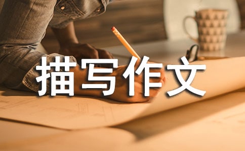 有关描写作文