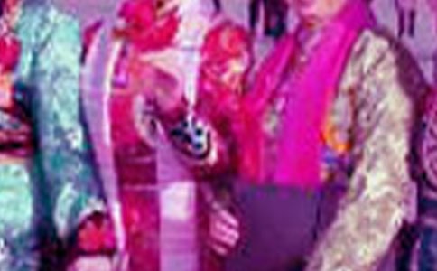 �л��������ģ�ͨ��43ƪ��