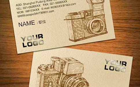 兔子的名片作文