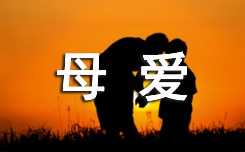 【集合】母爱的作文