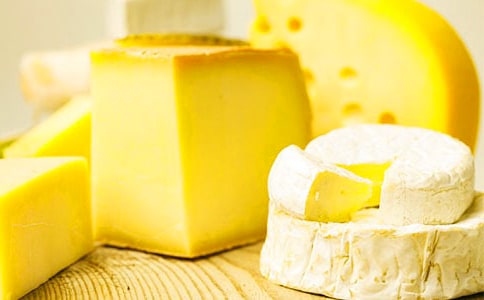 《狐狸分奶酪》续写作文15篇