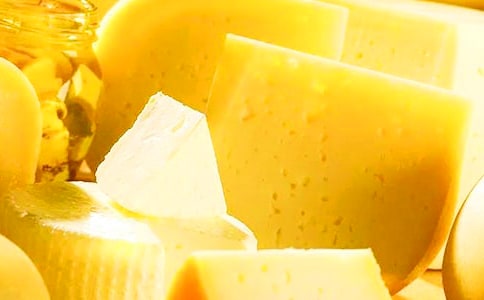 狐狸分奶酪续写作文5篇