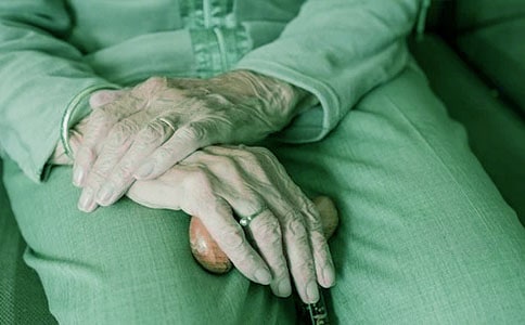 看望奶奶作文(精华)