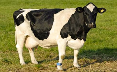 �ι���ţ������ ����15ƪ