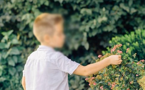 ����Ӯ���к�������з���