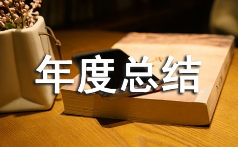 ������ӳ�����ܽ�