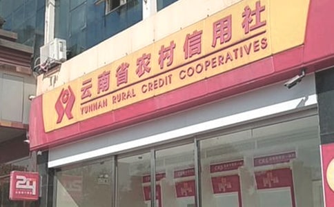 农村信用社员工年终总结