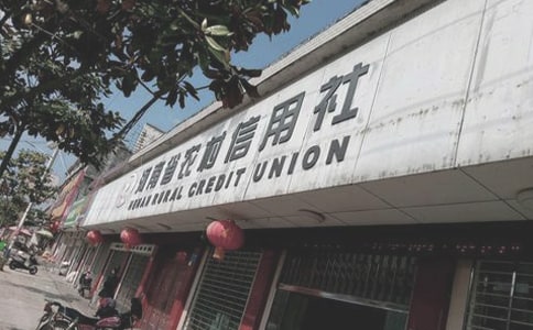 农村信用社柜员工作总结