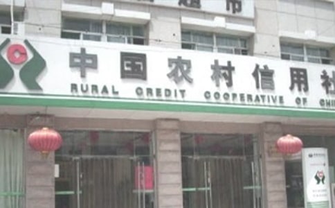 农村信用社年度工作总结