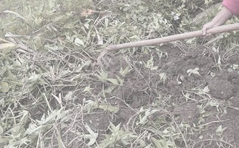 ��ũ������15ƪ���ر���