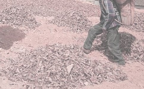 ��ũ�����Ļ��15ƪ