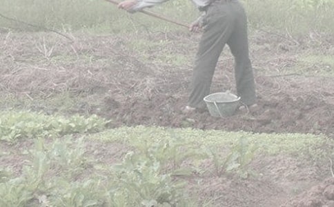 ��ũ������